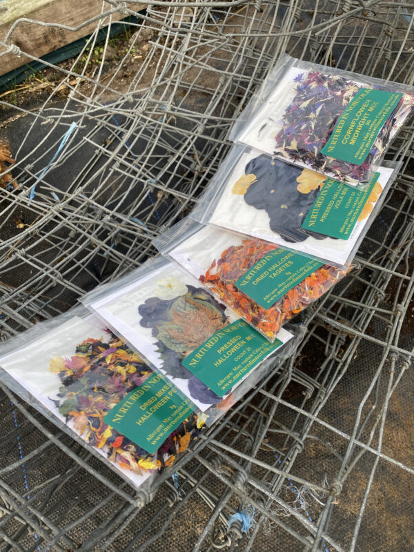 Dried and Pressed Edible Flower for Halloween