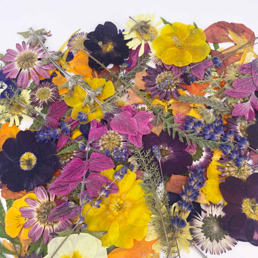 Decorating Cakes With Edible Flowers Nurtured in Norfolk