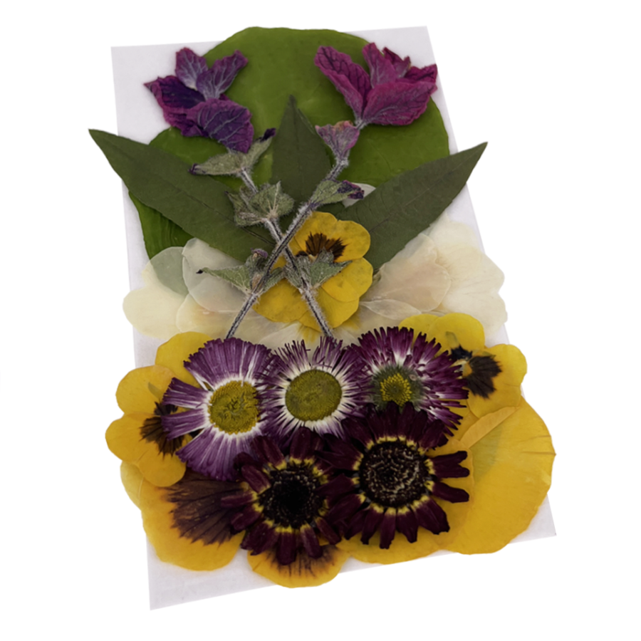 Mother's Day Pressed Edible Flowers