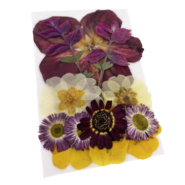 Mother's Day Pressed Edible Flower Mix
