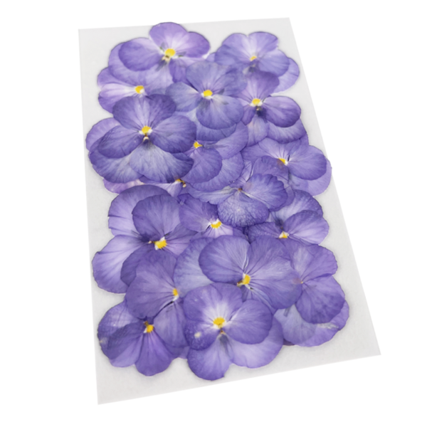 Pressed Viola Edible Flowers