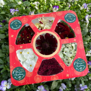 Christmas Edible Flower Wheel