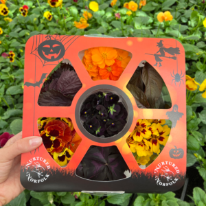 Halloween Edible Flower Wheel