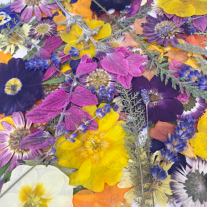 All Pressed Flowers