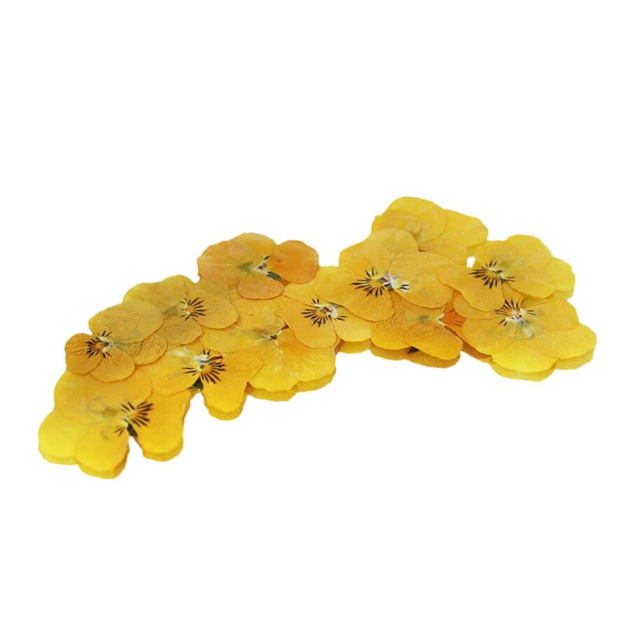 Yellow Pressed Edible Violas
