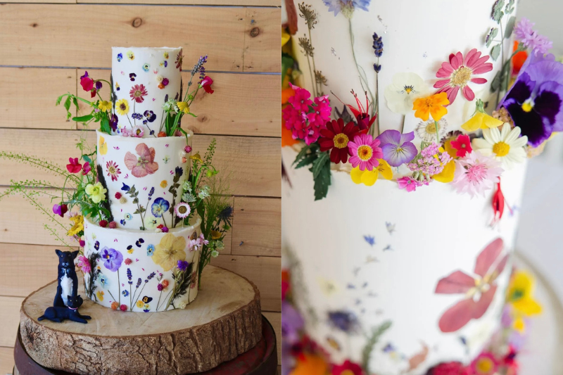 Edible flower selection wheels from Nurtured in Norfolk